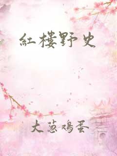 红楼野史