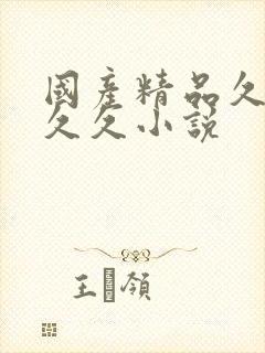 国产精品久久久久久小说