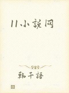 11小说网