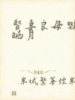 贤妻良母 鹦鹉晒月