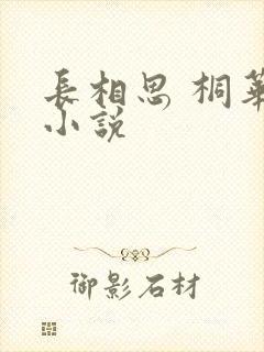 长相思 桐华 小说