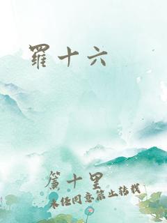 罗十六