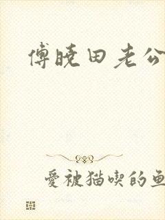 傅晓田老公是谁