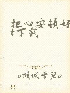 把心安顿好txt下载