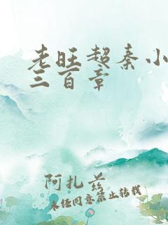 老旺超秦小雨第三百章