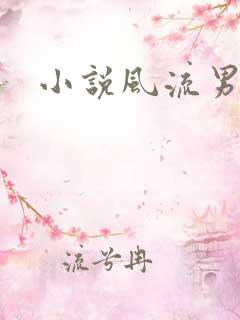 小说风流男护理