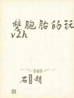 双胞胎的玩具1v2h