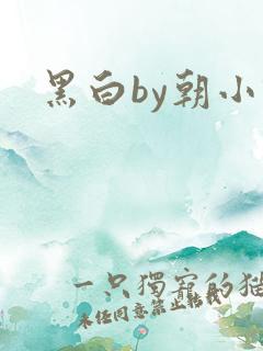 黑白by朝小诚