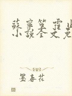 苏宁笙 霍止行小说全文免费阅读