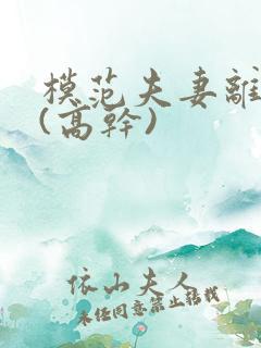 模范夫妻离婚了(高干)
