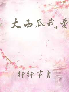 大西瓜我爱你