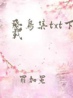 飞鸟集txt下载