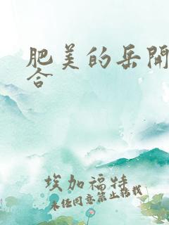 肥美的岳开始配合