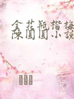金花瓶楷梅花2陈圆圆小说