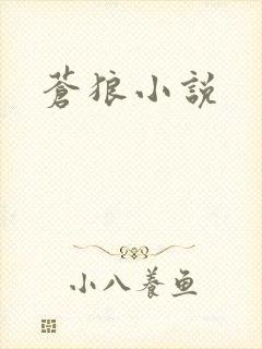 苍狼小说