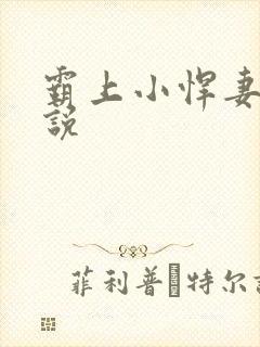 霸上小悍妻 小说