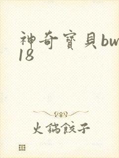 神奇宝贝bw118