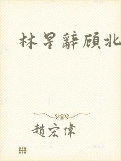林星辞顾北彦