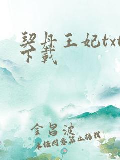 契丹王妃txt下载