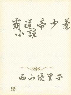 霸道帝少惹不得 小说