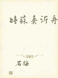 时苏秦沂舟小说