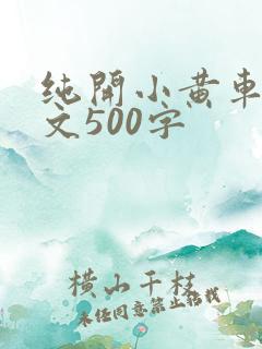 纯开小黄车小短文500字
