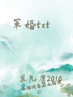 军婚txt