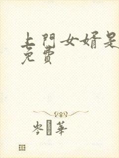 上门女婿是锦鲤免费