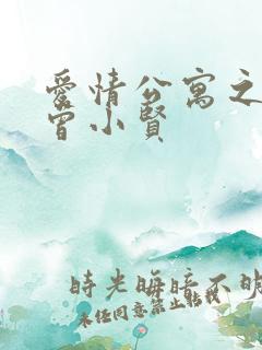 爱情公寓之极品曾小贤