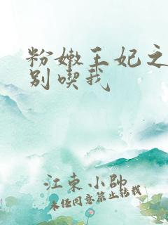 粉嫩王妃之殿下别吃我