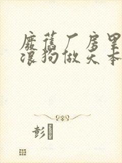 废旧厂房里和流浪狗做天本