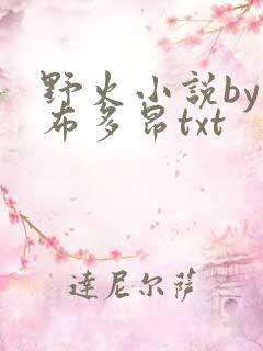 野火小说by夏布多昂txt