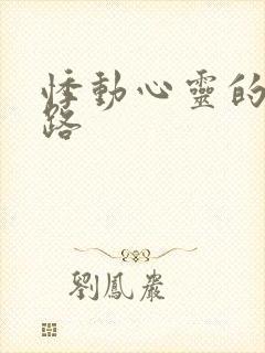 悸动心灵的h之路