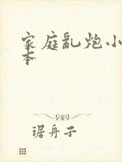 家庭乱炮小说全本