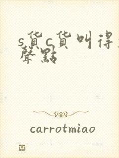 s货c货叫得大声点