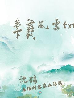 梦舞风云txt下载
