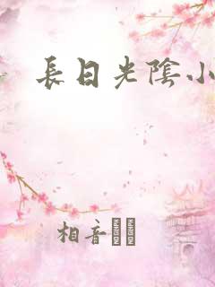 长日光阴小说