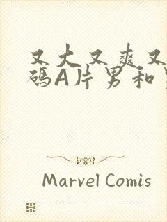 又大又爽又黄无码A片男和男