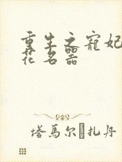 重生之宠妃白莲花名器