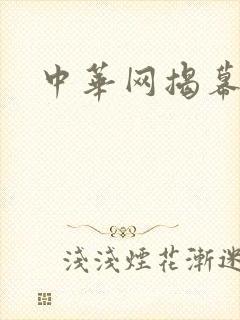 中华网揭幕内参