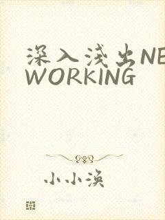 深入浅出NETWORKING