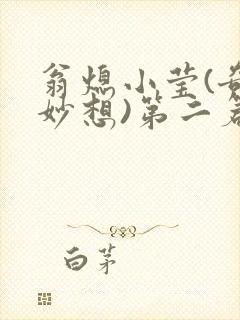 翁熄小莹(奇思妙想)第二篇