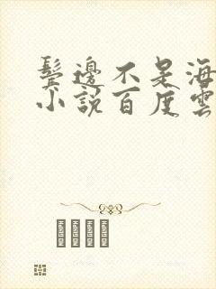 鬓边不是海棠红小说百度云