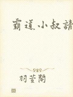 霸道小叔请轻撩