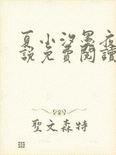 夏小汐墨夜霆小说免费阅读