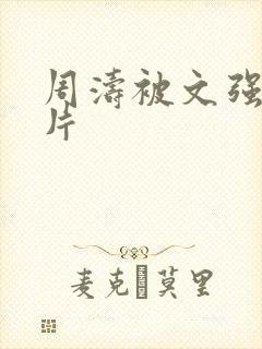 周涛被文强睡图片