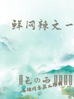 鲜网辣文一对一