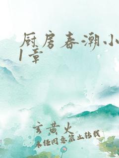 厨房春潮小说第1章