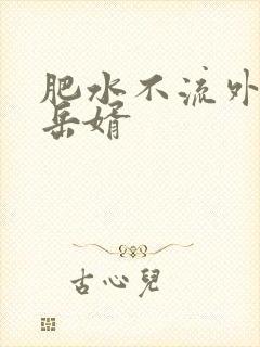 肥水不流外人田岳婿