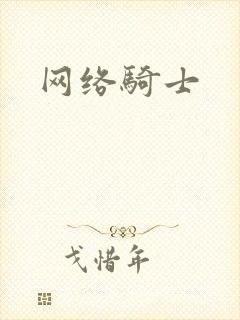 网络骑士